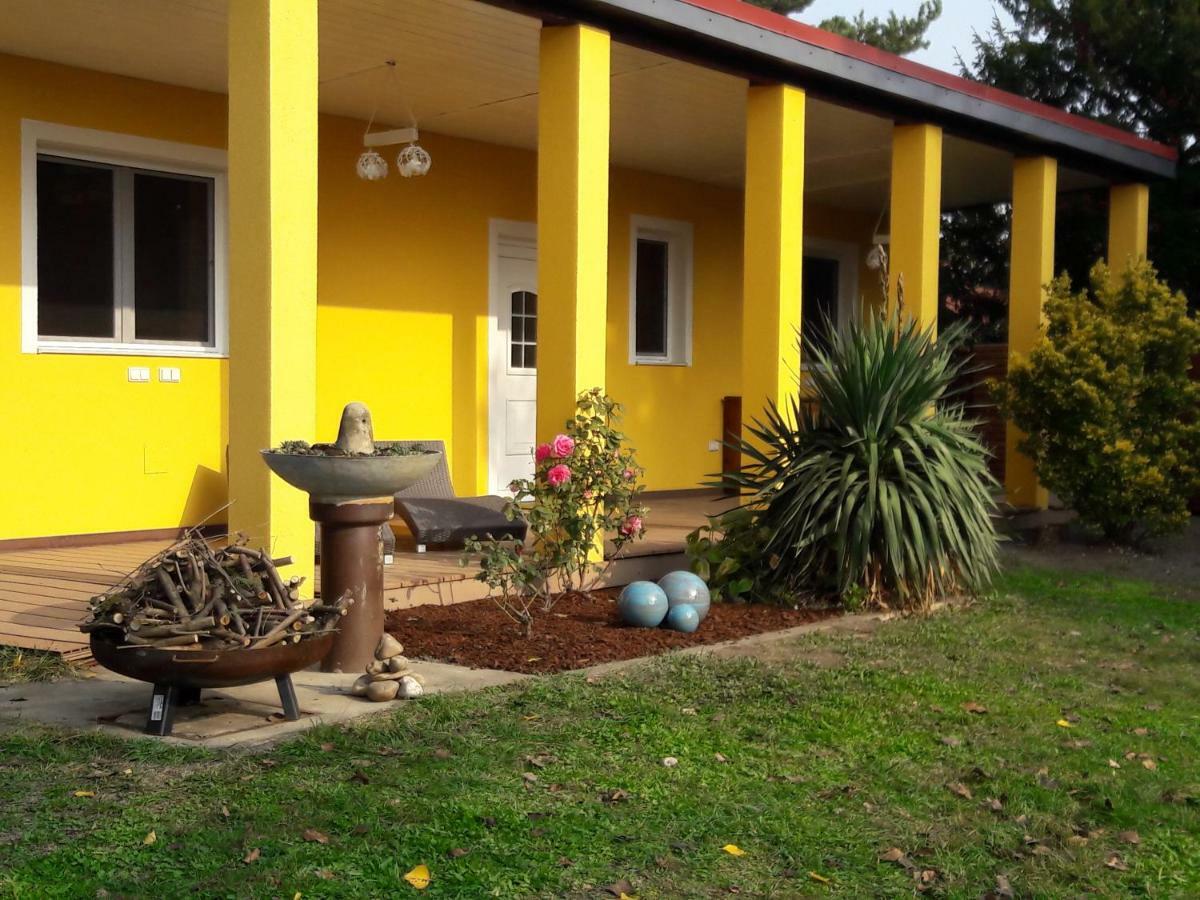 Bungalow At Lake Alte Donau 비엔나 외부 사진